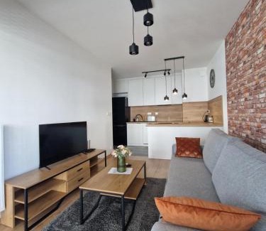 Rzeszow Apartment | Apartament Paderewskiego Two Bedrooms Private Garage Air Condition
