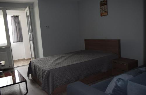 Baia Mare Apartment | Apartament Palatul de Justitie RHBM
