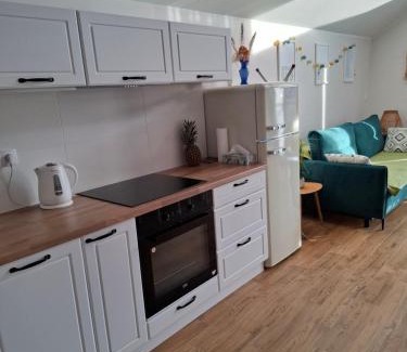 Zarnowska Apartment | Apartament Piaskowa 2