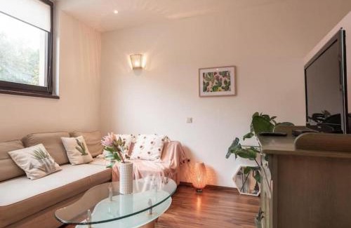 Piechowice Apartment | Apartament typu Studio KAMYKÓWKA w sąsiedztwie gór i lasów Piechowice