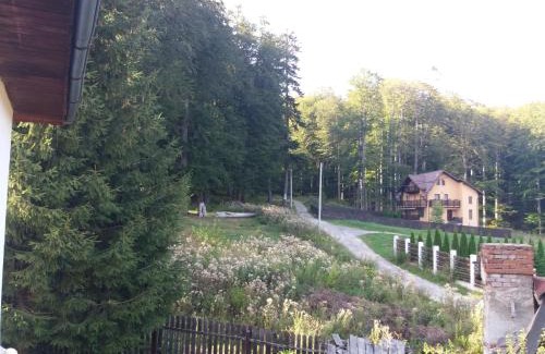 Busteni Apartment | Apartament Potecuta Ursului