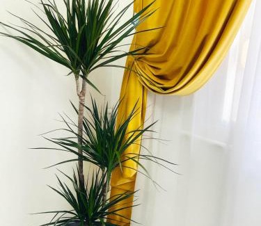 Arad Apartment | Apartament Premium Isabella