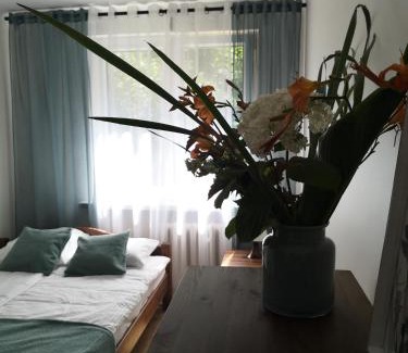 Sandomierz Apartment | Apartament przy Starówce