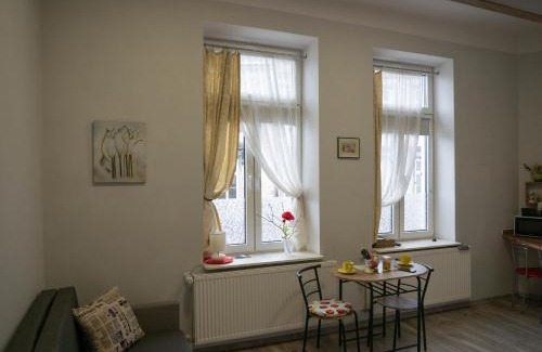 Przemysl Apartment | Apartament przy synagodze