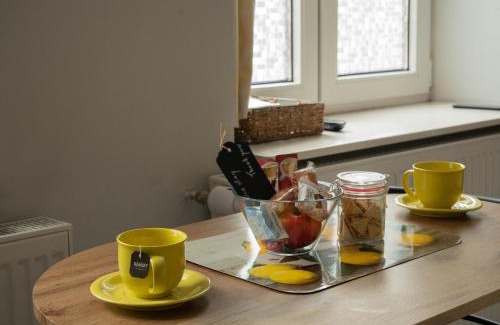 Przemysl Apartment | Apartament przy synagodze