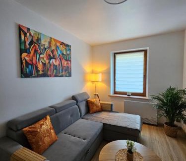 Gliwice Apartment | Apartament Radiostacja IX, parking free