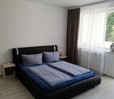 Toplita Apartment | Apartament Raluca