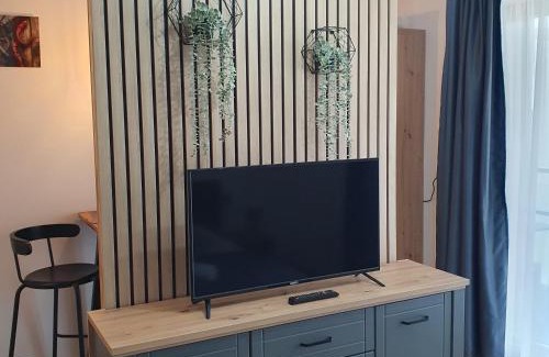 Tirgu Mures Apartment | Apartament Relaxa Green 2 Studio AC Parking