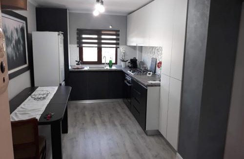 Segarcea Apartment | Apartament