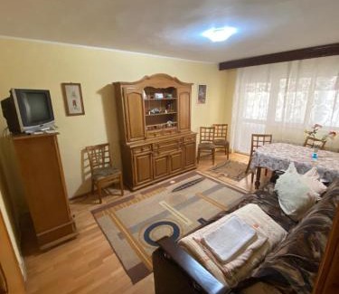 Slanic-Moldova Apartment | Apartament Slanic Moldova