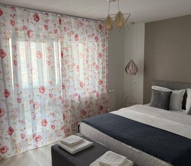 Petrosani Apartment | Apartament Sofi
