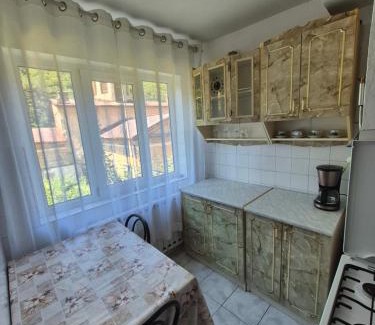 Baile Herculane Apartment | Apartament Sofia