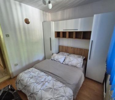 Baile Herculane Apartment | Apartament Sofia