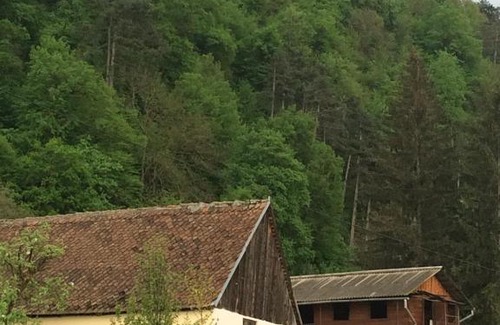 Rasnov Apartment | Apartament Teilor
