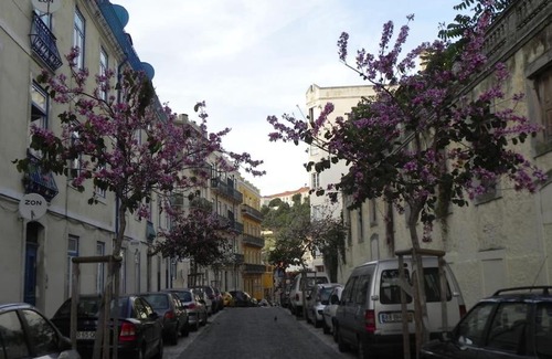 Socorro Apartment | Apartament TO+1 dowtown Lisbon
