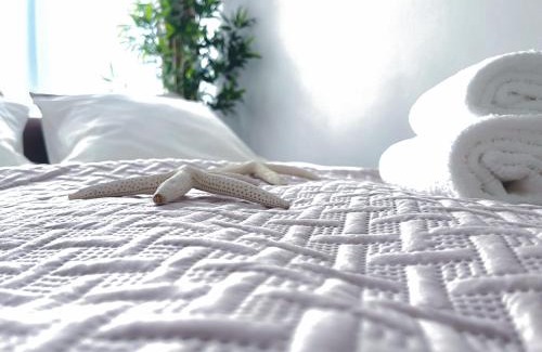 Torun Apartment | Apartament Toruń Orbita free parking