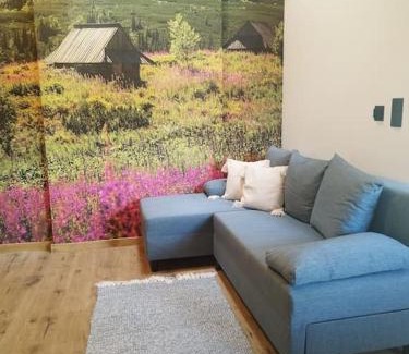Szaflary Apartment | Apartament u Bobaków 2