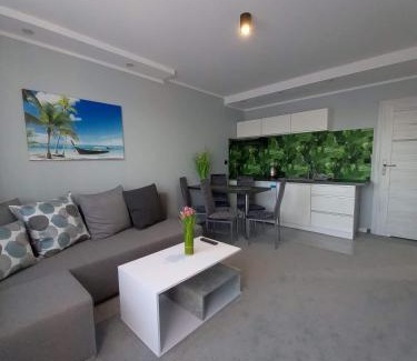 Dzwirzyno Apartment | Apartament U Bosmana