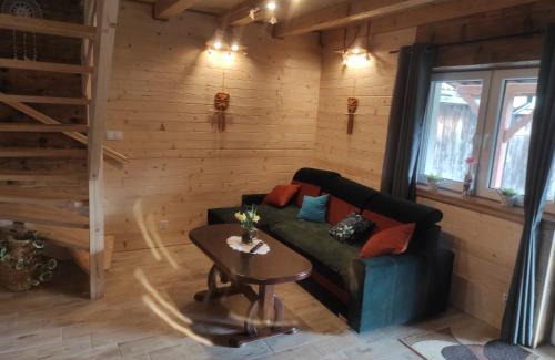 Olszanica Apartment | Apartament u Doroty Orelec k Soliny