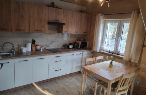 Olszanica Apartment | Apartament u Doroty Orelec k Soliny