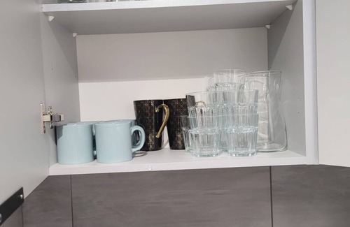 Torun Apartment | Apartament Verde