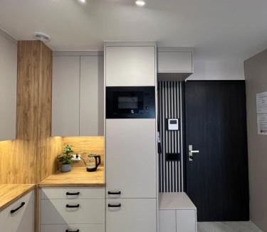Torun Apartment | Apartament Vinea