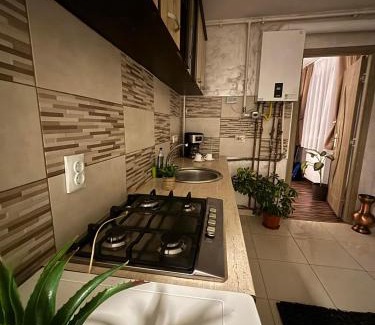 Sighisoara Apartment | Apartament Vintage