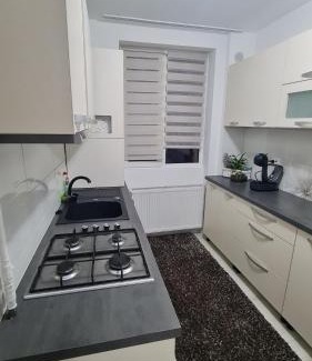 Gura Humorului Apartment | Apartament Violeta