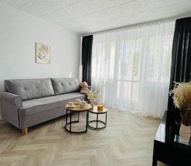 Lubin Apartment | Apartament w centrum-Lubin