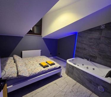 Radom Apartment | Apartament w Centrum z Jacuzzi, prywatny parking, klimatyzacja 4