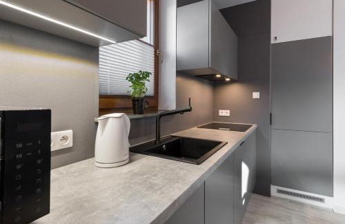 Jaworki Apartment | Apartament Widok