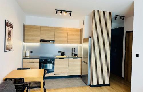 Ilawa Apartment | Apartament Wiktoria Iława