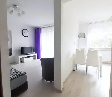 Zielona Gora Apartment | Apartament Złota Łącza