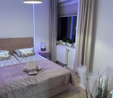 Wladyslawowo Apartment | Apartament "Złota Morela"
