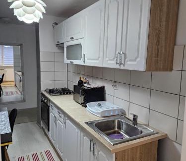 Zarnesti Apartment | Apartament Zarnesti VMP Free Parking