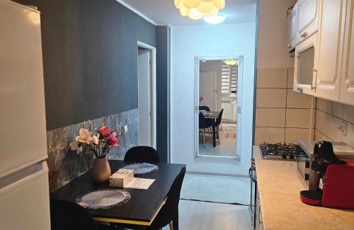 Zarnesti Apartment | Apartament Zarnesti VMP Free Parking