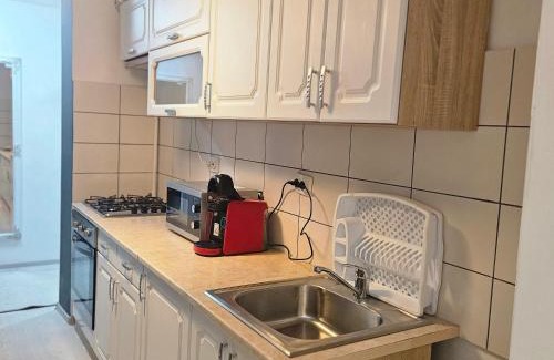 Zarnesti Apartment | Apartament Zarnesti VMP Free Parking