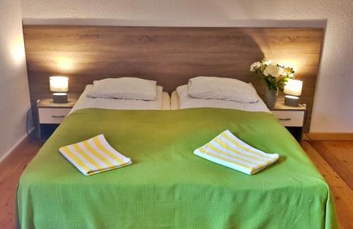 Zieleniec Apartment | Apartament Zieleniec