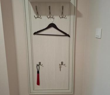 Druskininkai Apartment | Apartamentai Auris
