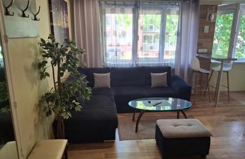 Birstonas Apartment | Apartamentai Dana