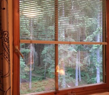 Juodkrante Apartment | Apartamentai - Gintaro Įlanka