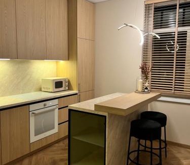 Vilkaviskis Apartment | Apartamentai pirmame aukšte, miesto centre