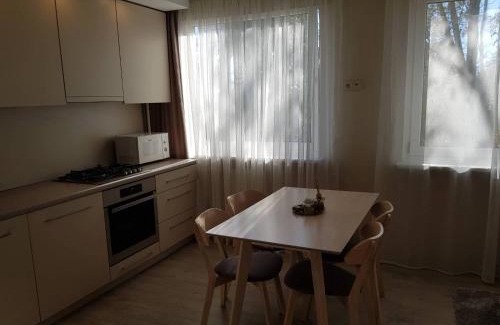 Siauliai Apartment | Apartamentai Vilniaus Street