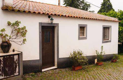 Veiros Apartment | Apartamento 1 - Fundação de Veiros