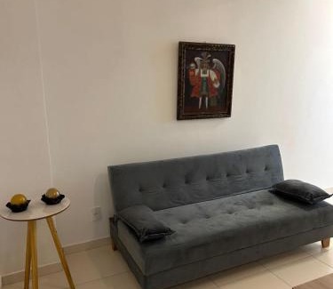 Zona Sul Apartment | Apartamento Aconchegante!