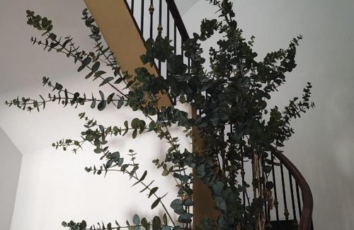 Novelda Apartment | Apartamento Albariño 23
