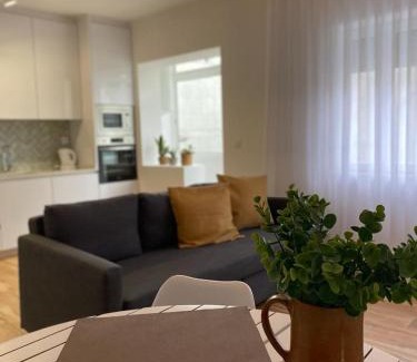 Viana do Castelo Apartment | Apartamento da Bandeira