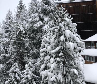 Baqueira Apartment | Apartamento en Baqueira a 100 metros de la telecabina