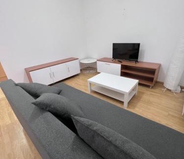 Abena Apartment | Apartamento en Sabiñánigo para grupos con amplia y soleada terraza