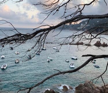 Sant Feliu de Guixols Apartment | Apartamento luminoso Paloma a 350 metros de la playa con parking gratuito